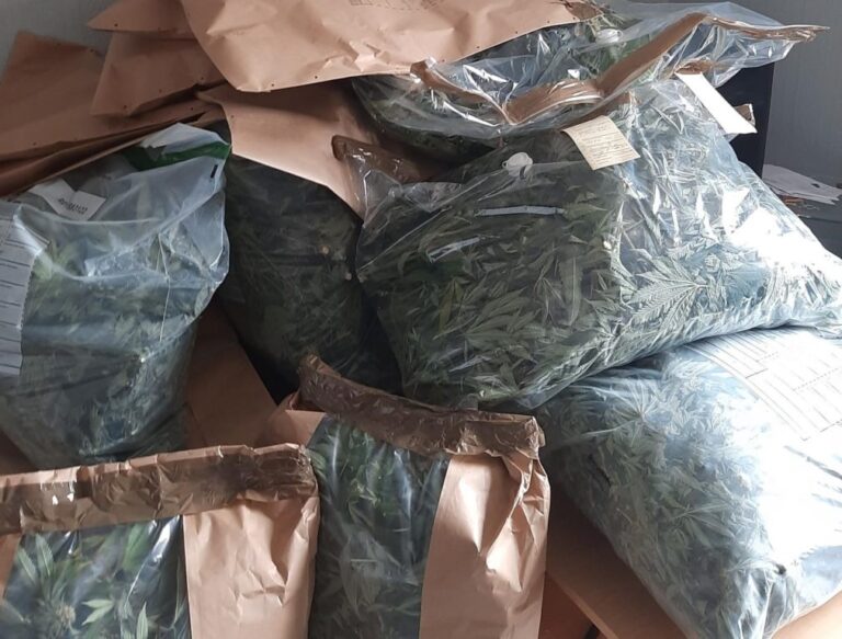 basingstoke-cannabis.jpg