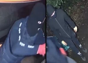 Appeal for witnesses following spate of burglaries across Ringwood and Dorset