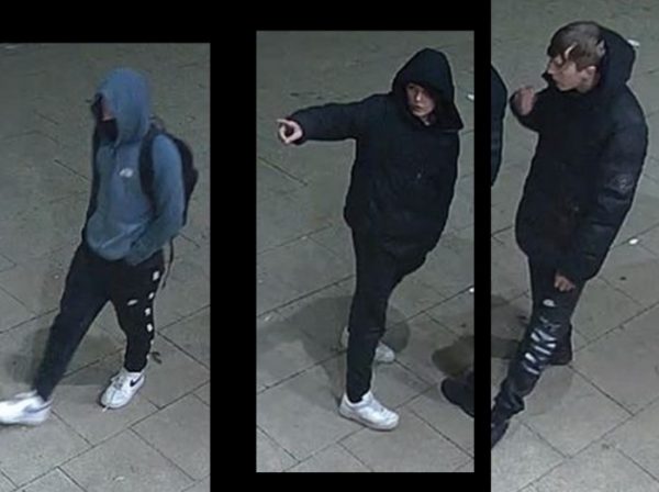 appeal-44220030200.jpg