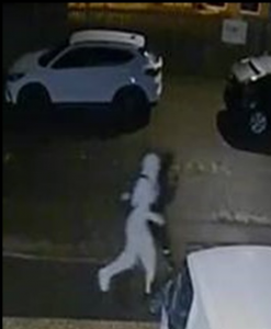 Appeal following assault in Leigh Park