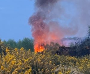 Fire crews tackle six fires in the open during a single day in North Hampshire