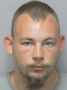 Pedophile 23, jailed after admitting child sex offences