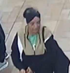 Image released after woman’s phone is taken from shop in Fleet