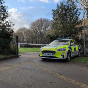 1000092771_optimized