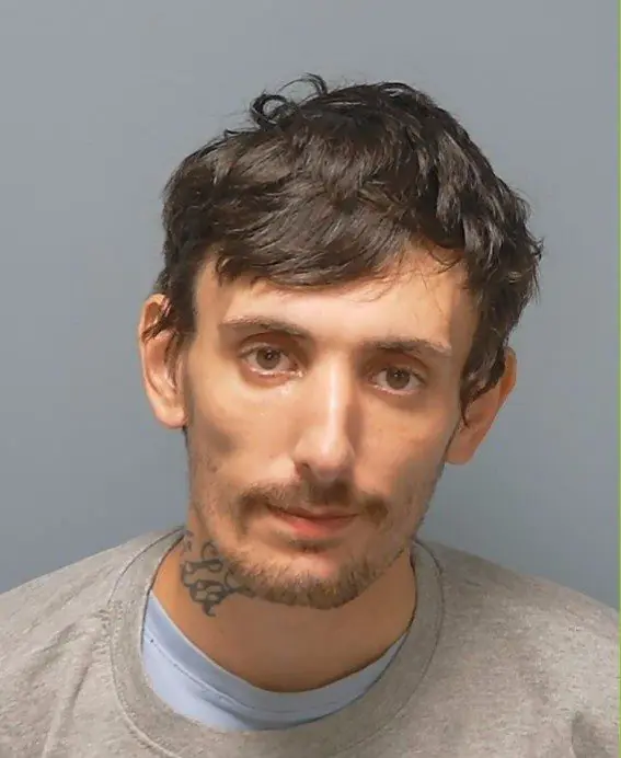 Man Jailed for Over a Year After String of Offences in Waterlooville and Havant