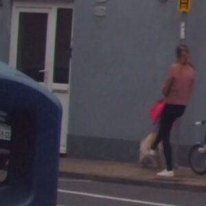 Anger After Woman Filmed Kicking Dog in Portsmouth Street