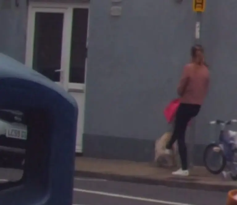 Anger After Woman Filmed Kicking Dog in Portsmouth Street
