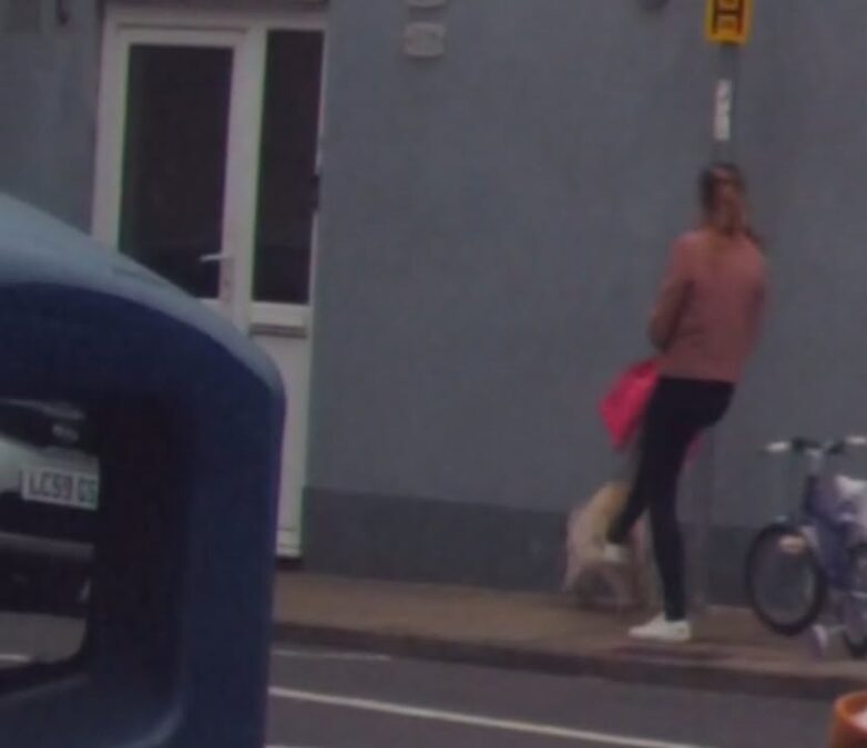 Anger After Woman Filmed Kicking Dog in Portsmouth Street