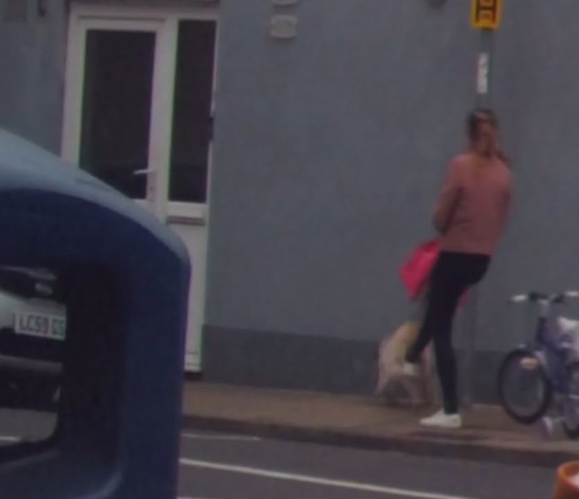 Anger After Woman Filmed Kicking Dog in Portsmouth Street