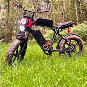 🚨 Witness Appeal: E-bike Stolen During Robbery in Emsworth