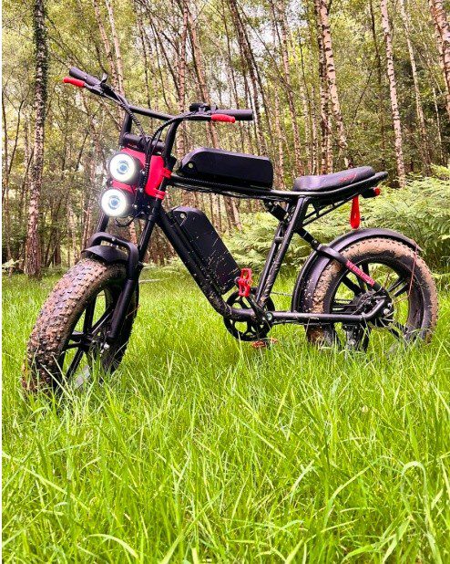 🚨 Witness Appeal: E-bike Stolen During Robbery in Emsworth