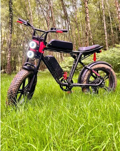 🚨 Witness Appeal: E-bike Stolen During Robbery in Emsworth