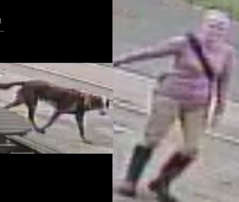 CCTV images released in ongoing Southampton murder investigation